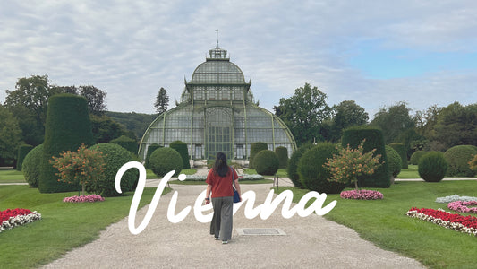 Vienna and Bratislava | In A Heartbeat