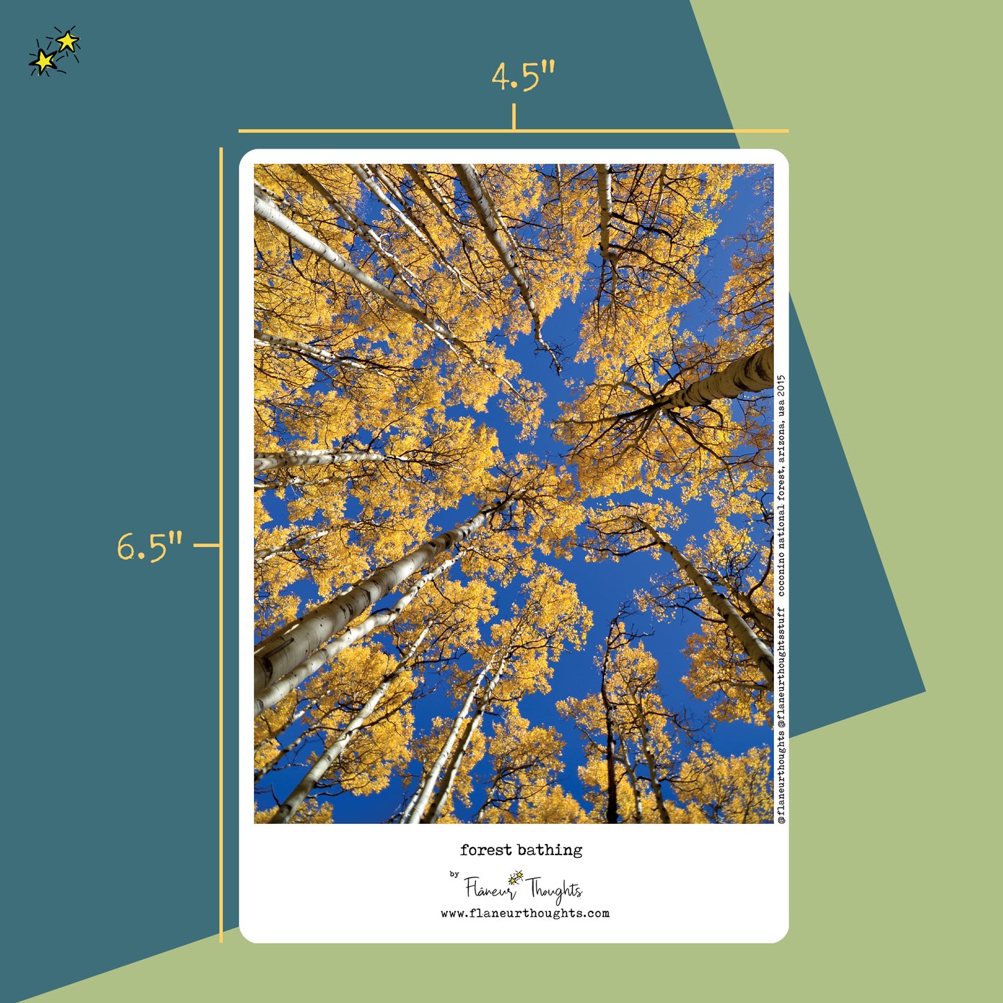Forest Bathing